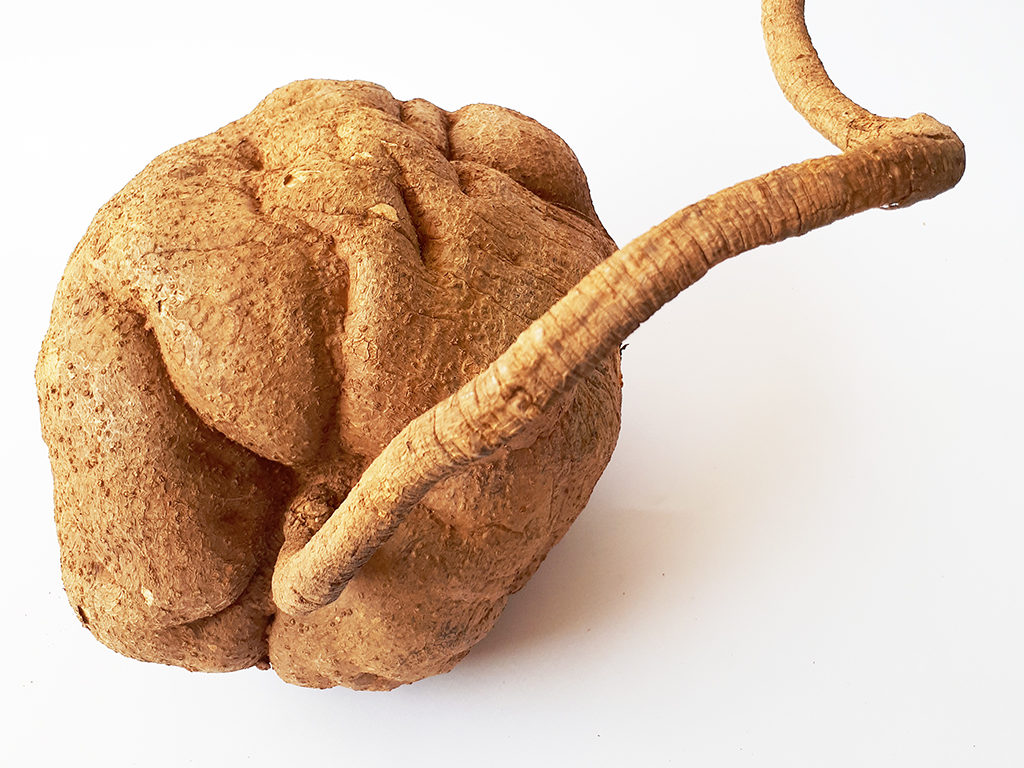 Pueraria Mirifica Herb: Advantages of Pueraria Mirifica